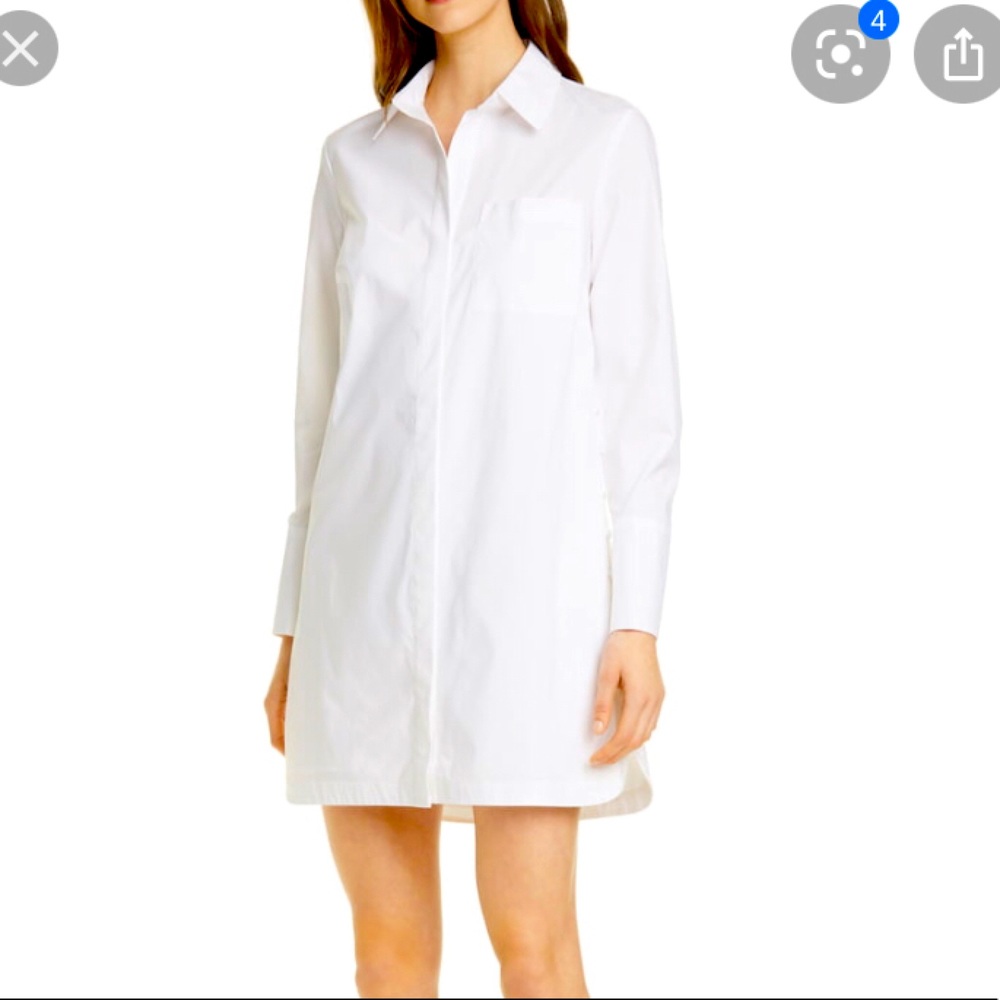 Club Monaco Strawberta Button Shirtdress